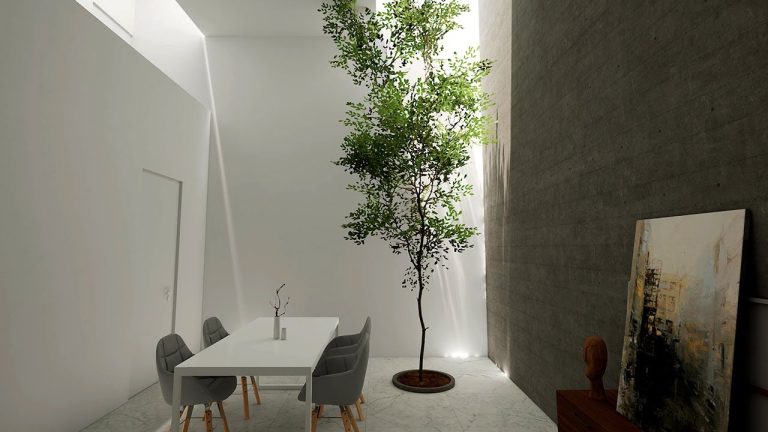 Transforma tu hogar con el árbol perfecto para interiores