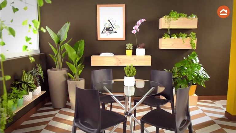 Transforma tus pasillos interiores con plantas que deslumbran
