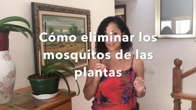 Elimina las larvas de mosquito de tus plantas de forma sencilla